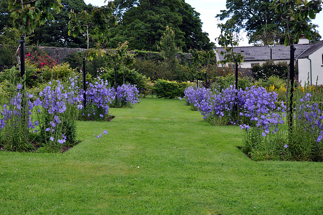 im blauen Garten