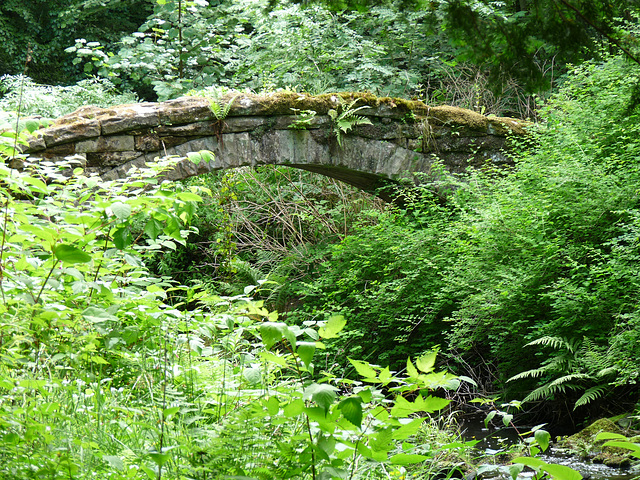 Old Stone Bridge
