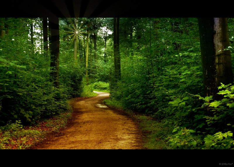 im Wald~ come on, follow me :-)