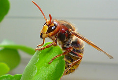 Besuch im Büro