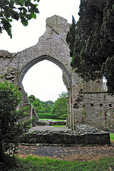 Grey Abbey