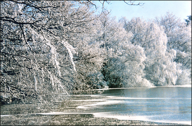 Morvan, Etang de Chailloux