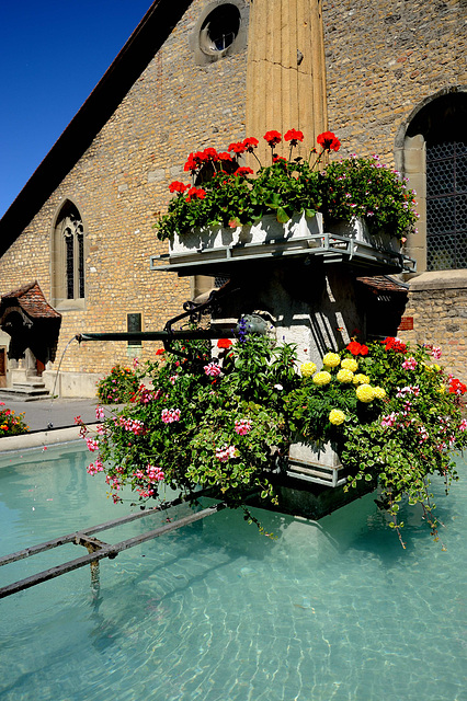 Fontaine fleurie...