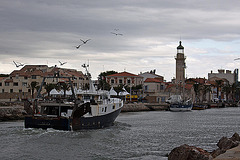 20110601 4862RAfw Fischtrawler [Le Grau du Roi]