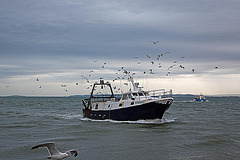 20110601 4858RAw [F] Fischtrawler [Le Grau du Roi] Camargue