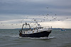 20110601 4857RAfw Fischtrawler [Le Grau du Roi]