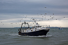 20110601 4857RAw [F] Fischtrawler [Le Grau du Roi] Camargue