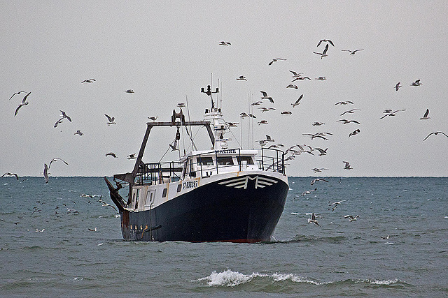 20110601 4856RAfw Fischtrawler [Le Grau du Roi]