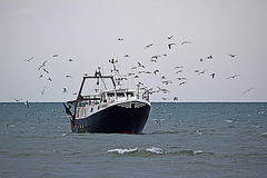 20110601 4855RAw [F] Fischtrawler [Le Grau du Roi] Camargue