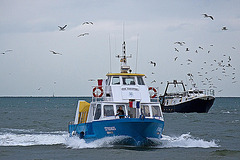 20110601 4853RAw Ausflugsboot, Fischtrawler [Le Grau du Roi]