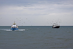 20110601 4852RAw [F] Ausflugsboot, Fischtrawler [Le Grau du Roi] Camargue