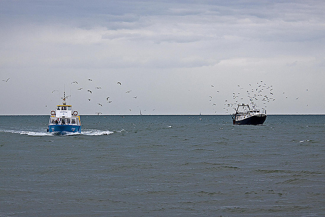 20110601 4852RAfw Ausflugsboot, Fischtrawler [Le Grau du Roi]