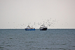 20110601 4849RAw [F] Ausflugsboot, Fischtrawler [Le Grau du Roi] Camargue