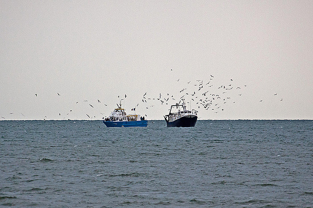 20110601 4849RAfw Ausflugsboot, Fischtrawler [Le Grau du Roi]