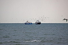 20110601 4848RAw [F] Ausflugsboot, Fischtrawler [Le Grau du Roi] Camargue