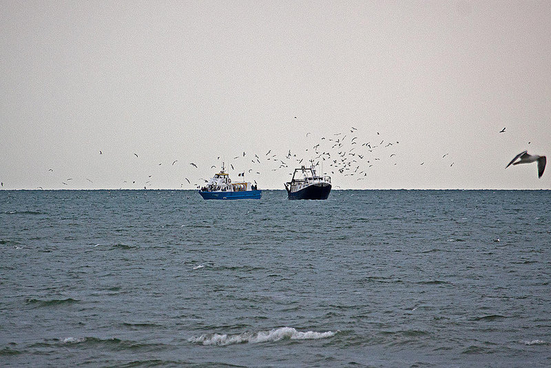 20110601 4848RAw [F] Ausflugsboot, Fischtrawler [Le Grau du Roi] Camargue