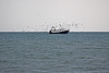 20110601 4845RAfw Fischtrawler [Le Grau du  Roi]