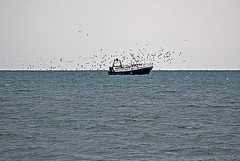 20110601 4845RAw [F] Fischtrawler [Le Grau du Roi] Camargue