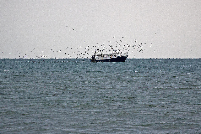 20110601 4845RAfw Fischtrawler [Le Grau du  Roi]