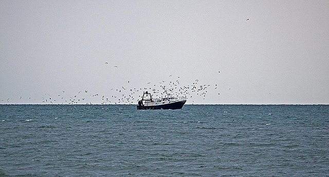 20110601 4844RAw [F] Fischtrawler [Le Grau du Roi] Camargue