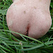 la nature les à faites comme ça !!!!