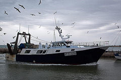 20110601 4834RAfw Fischtrawler [Le Grau du Roi]