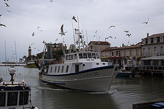 20110601 4829RAfw Fischtrawler [Le Grau du Roi]