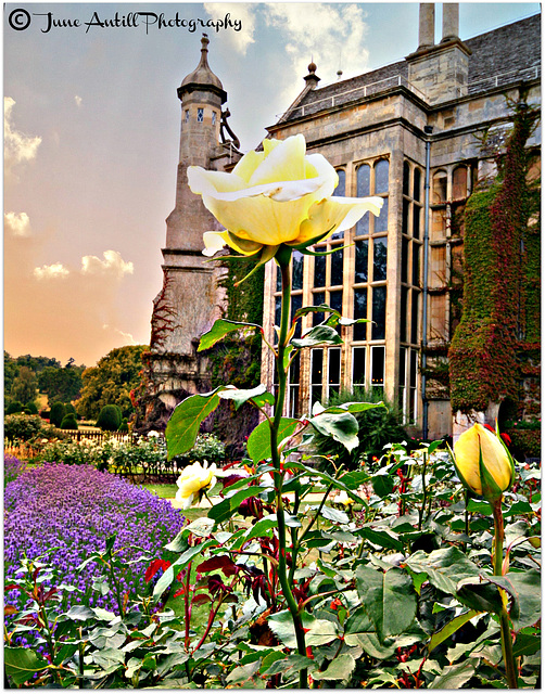 Burghley House, Lincs