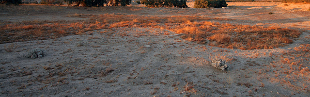 Cloverleaf Water Park remains (0322)