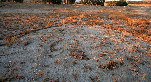 Cloverleaf Water Park remains (0323)