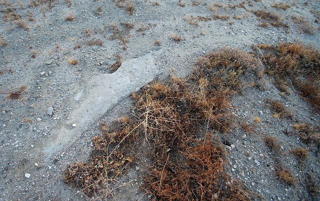 Cloverleaf Water Park remains (0324)