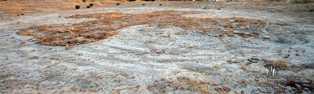 Cloverleaf Water Park remains (0326)