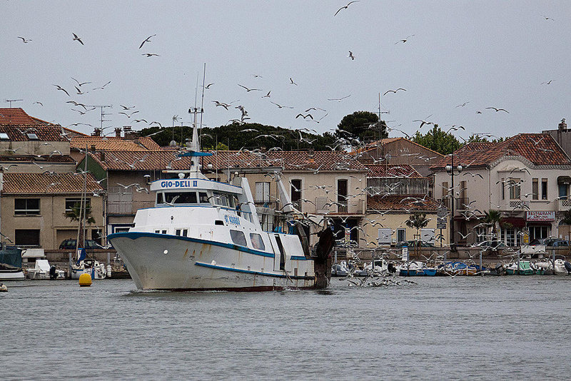 20110601 4822RAw [F] Fischtrawler [Le Grau du Roi] Camargue