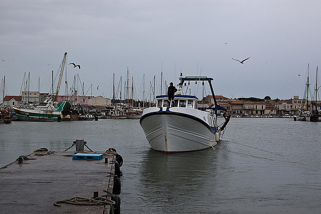 20110601 4816RAfw Fischtrawler [Le Grau du Roi]