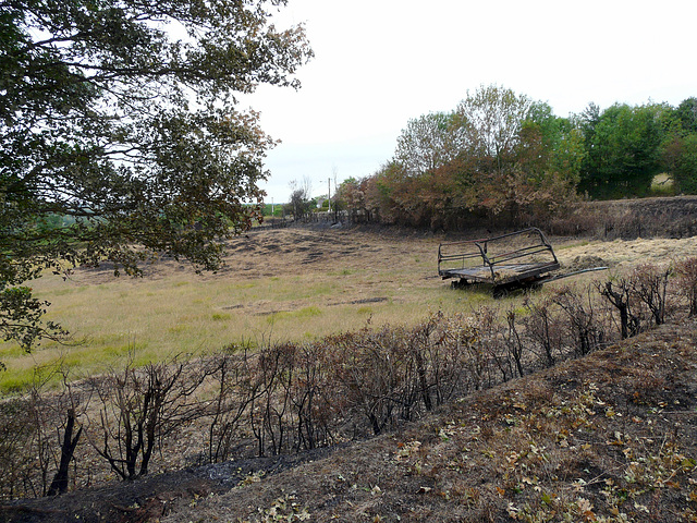 incendie dû à la sècheresse