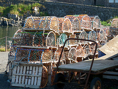 Lobster Pots