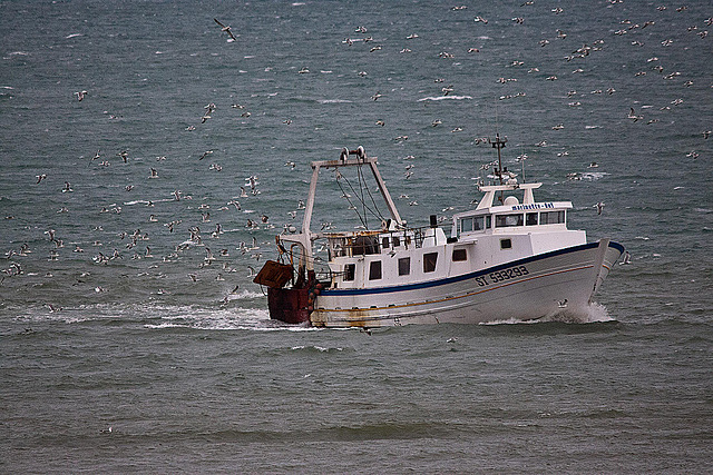 20110601 4796RTfw Fischtrawler [Le Grau du Roi]