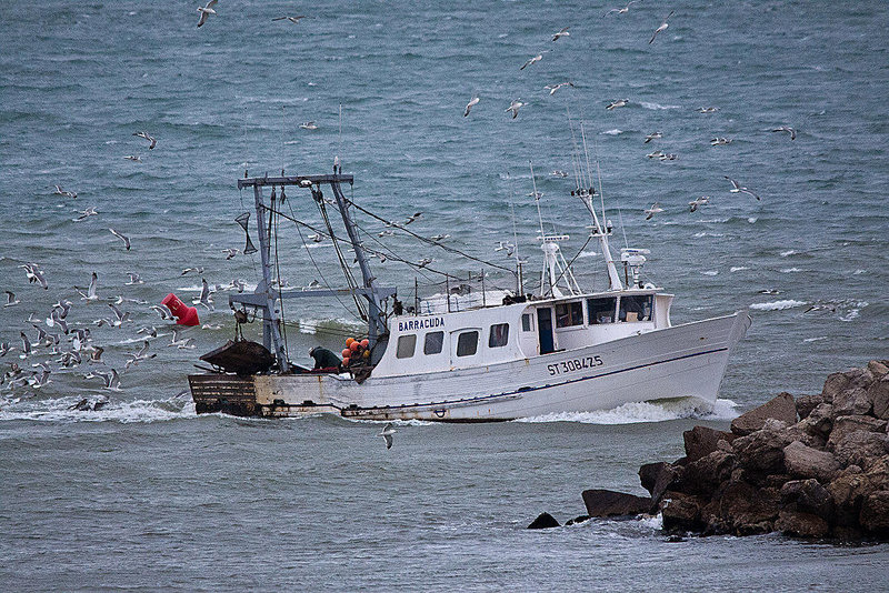 20110601 4792RTw [F] Fischtrawler [Le Grau du Roi] Camargue