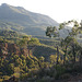 In the Warrumbungles.