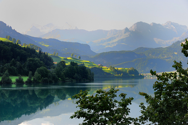 Un matin au bord du lac