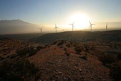 Wind Turbines (0317)