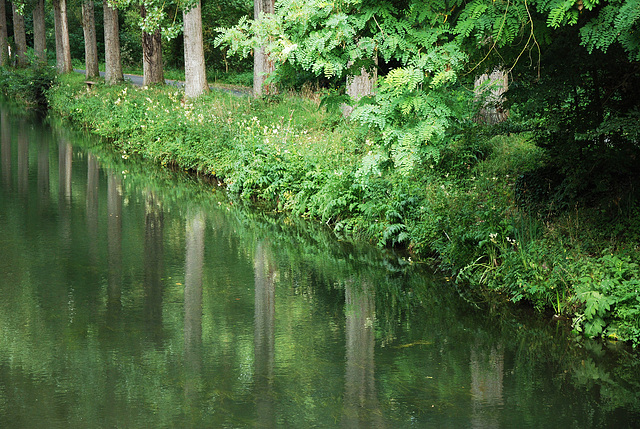 L'eau tranquille , l'eau miroitante procure , sans nul doute , un bien-être bénéfique