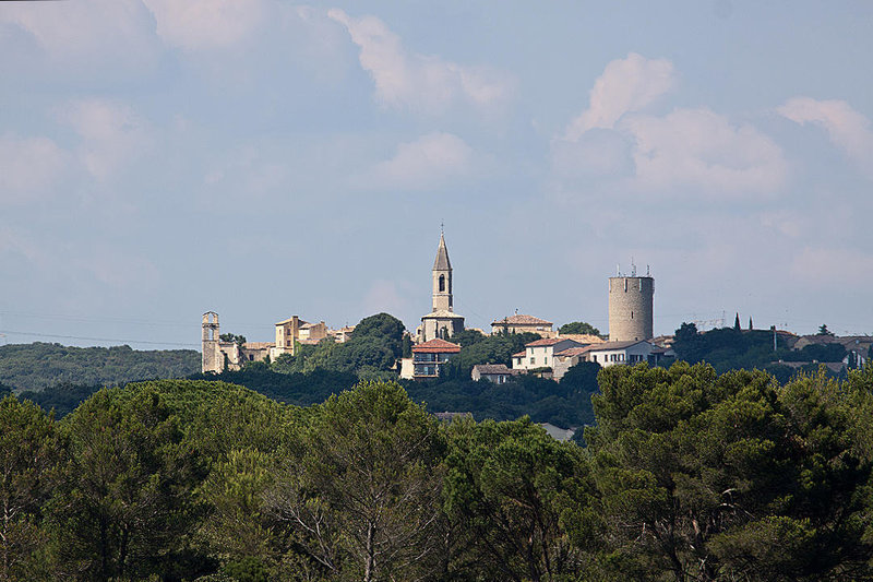 20110606 5135RAw [F] Castillon du Gard, Pont du Gard, Camargue