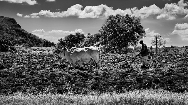 a hot day on the field