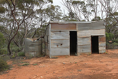 Galvanised iron hut in the mallee
