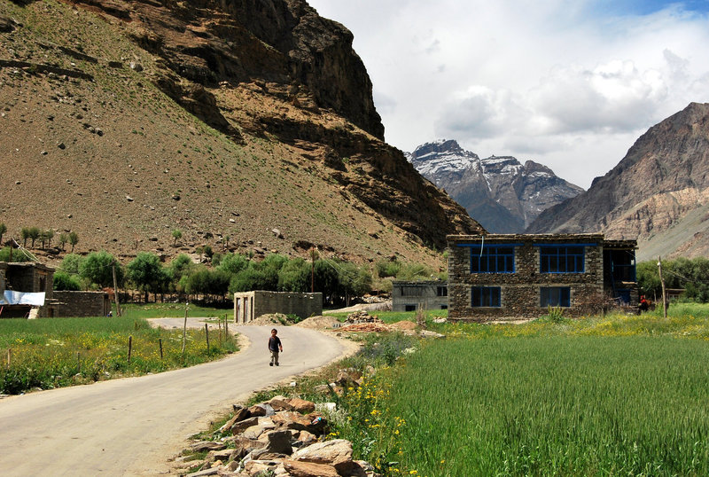 Suru Valley. Zanskar