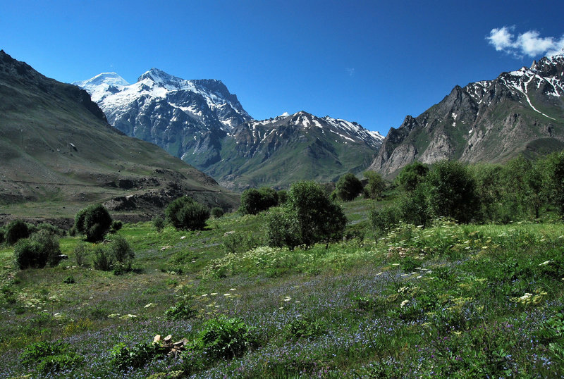 Suru Valley. Zanskar