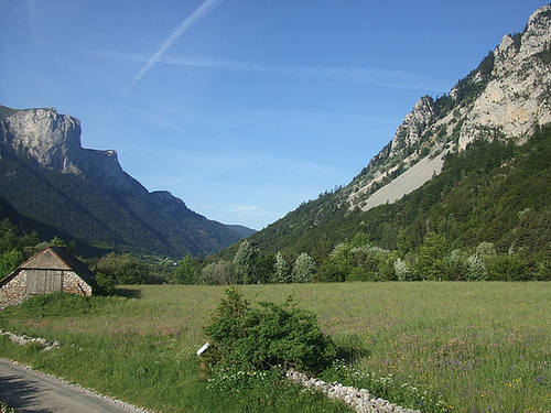 DSCF3571