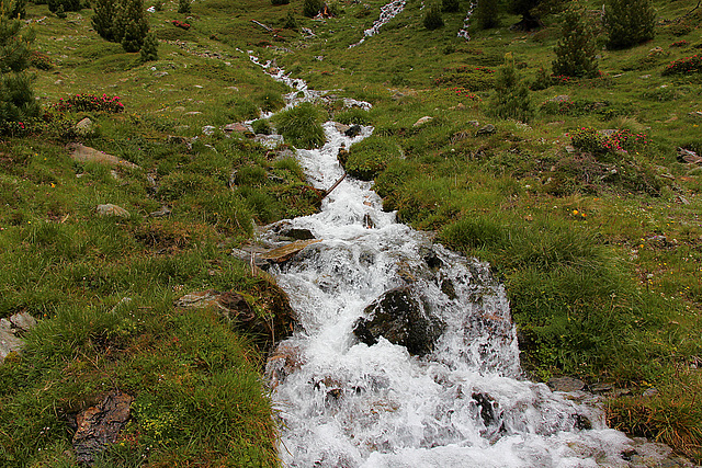 Bergbach - Matscher Alm