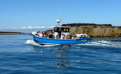 Farne Islands Visitors